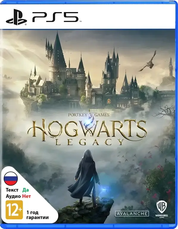 PS5 Hogwarts Legacy б/у